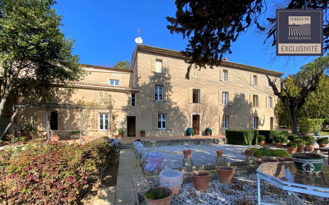 Charming vineyard in AOP “Côtes de Provence”