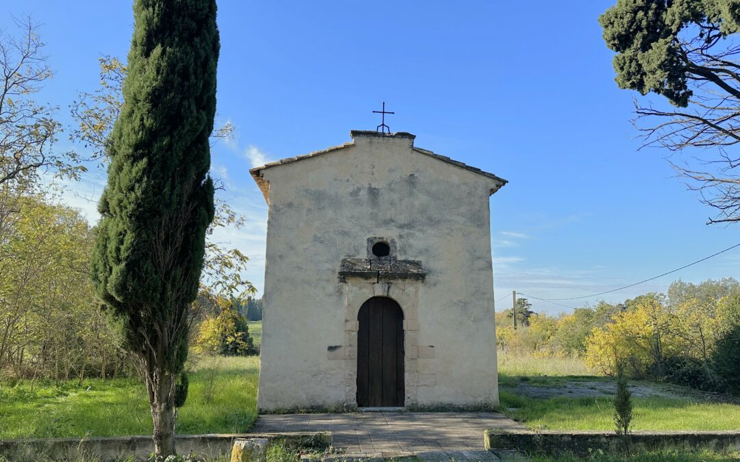 Large Vineyard in AOP ‘Coteaux-d’Aix-en-Provence’ – Ref P145